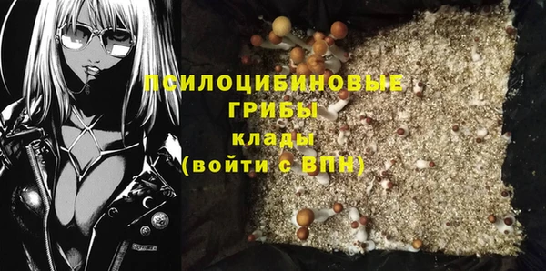 шишки Аркадак