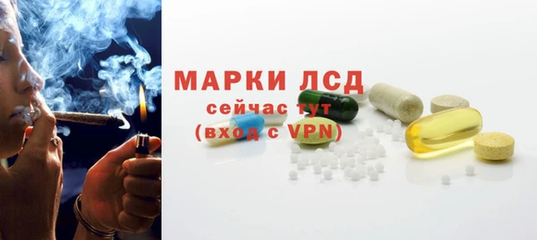 шишки Аркадак