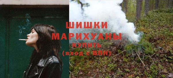 шишки Аркадак