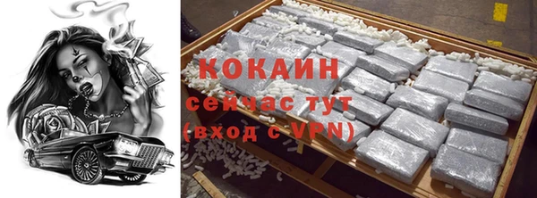 шишки Аркадак