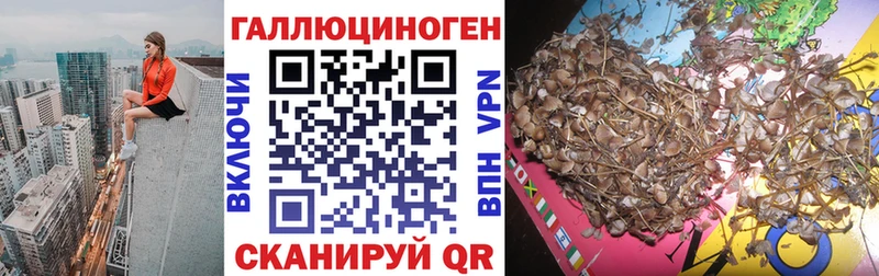 Псилоцибиновые грибы Magic Shrooms  Верхний Уфалей 