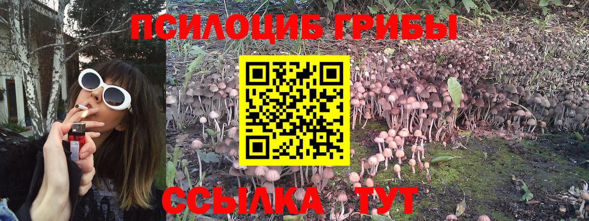 Псилоцибиновые грибы мухоморы Верхний Уфалей