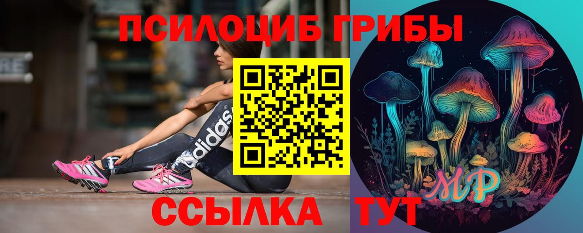 Псилоцибиновые грибы прущие грибы  магазин продажи наркотиков  Верхний Уфалей  Галлюциногенные грибы ЛСД 
