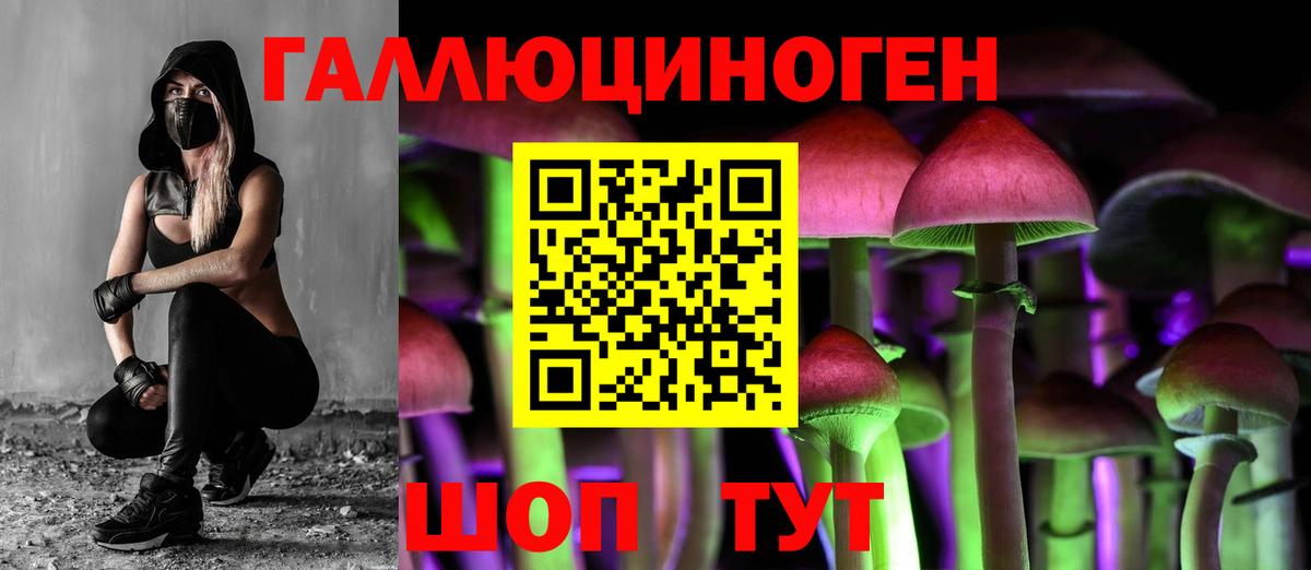 Псилоцибиновые грибы прущие грибы Верхний Уфалей