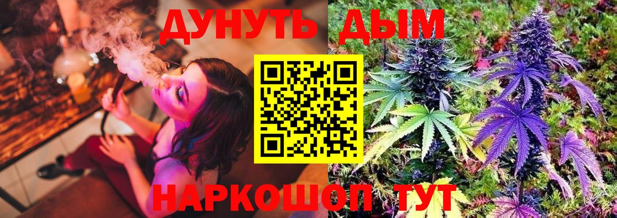 Бошки марихуана Bruce Banner  Шишки марихуана планчик  Канабис сатива  Вход с VPN  Верхний Уфалей  Каннабис ГИДРОПОН 